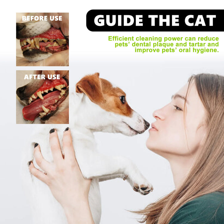 Mint Fresh Breath Spray – Oral Care & Odor Removal for Cats & Dogs