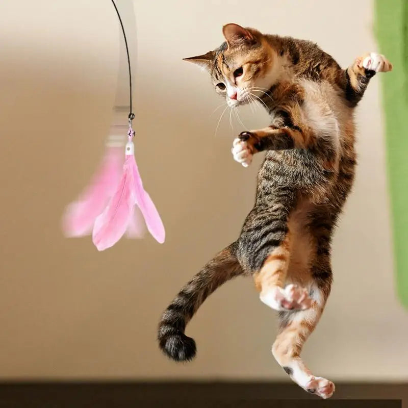 Cat Wand Toy with Detachable Feather & Suction Cup – Fun Exercise & Interactive Play