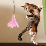Cat Wand Toy with Detachable Feather & Suction Cup – Fun Exercise & Interactive Play