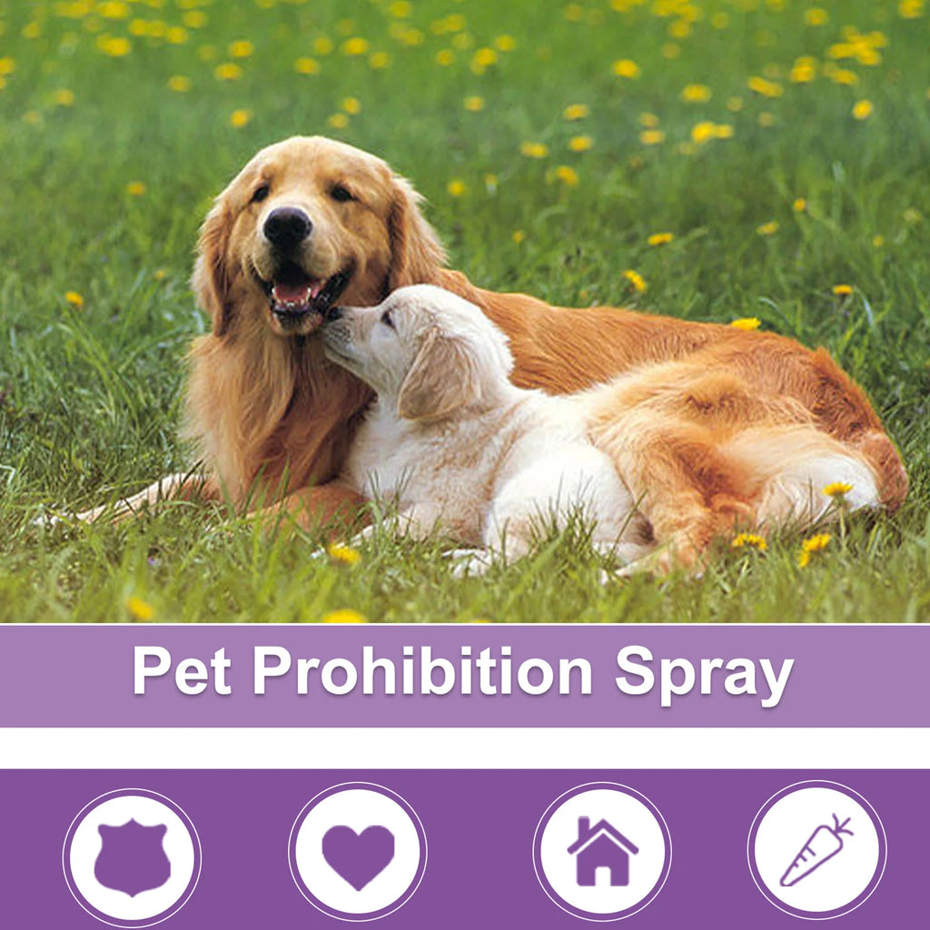 Calming Diffuser Spray – Natural Anxiety Relief for Dogs & Cats