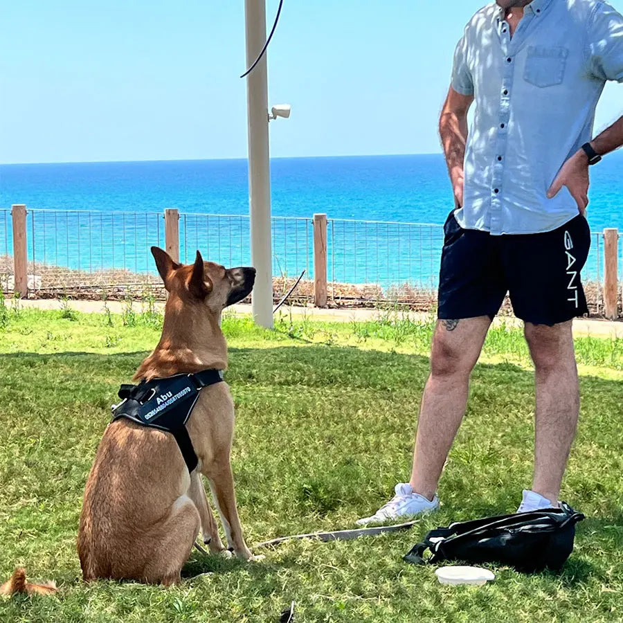 Customizable No-Pull Dog Harness Vest – Reflective & Breathable Outdoor Gear