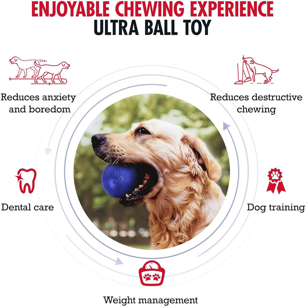 SuperChewy Tough Dog Ball Toy – Strong Natural Rubber Fetch & Chew Toy for Large Dogs