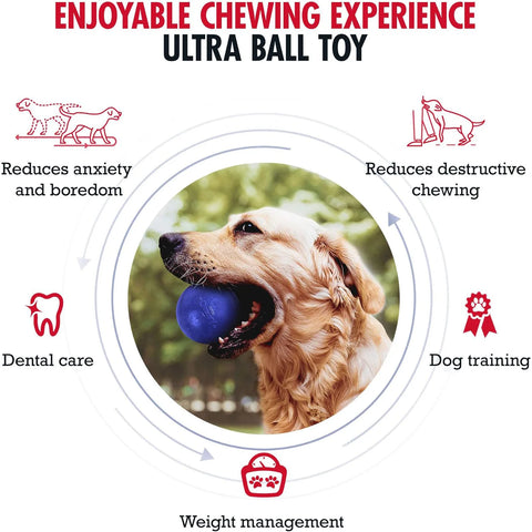 SuperChewy Tough Dog Ball Toy – Strong Natural Rubber Fetch & Chew Toy for Large Dogs
