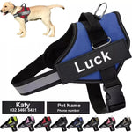 Customizable No-Pull Dog Harness Vest – Reflective & Breathable Outdoor Gear